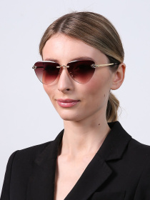 Очки LuckyLOOK модель LL2933534724013 Фото