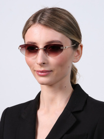 Очки LuckyLOOK модель LL2933534723863 Фото