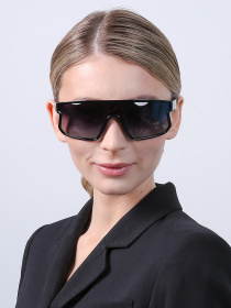 Солнцезащитные очки LuckyLOOK модель LL2933534722132 Фото