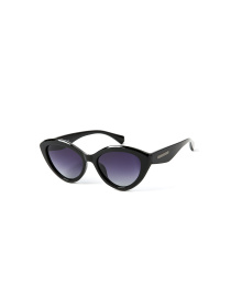 Очки LuckyLOOK модель LL2933534734159 Фото