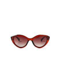 Окуляри LuckyLOOK модель LL2933534733978 Фото
