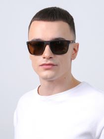 Солнцезащитные очки LuckyLOOK модель LL2933534734616 Фото