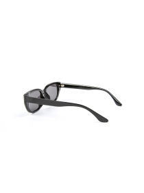 Солнцезащитные очки LuckyLOOK модель LL2933534735569 Фото