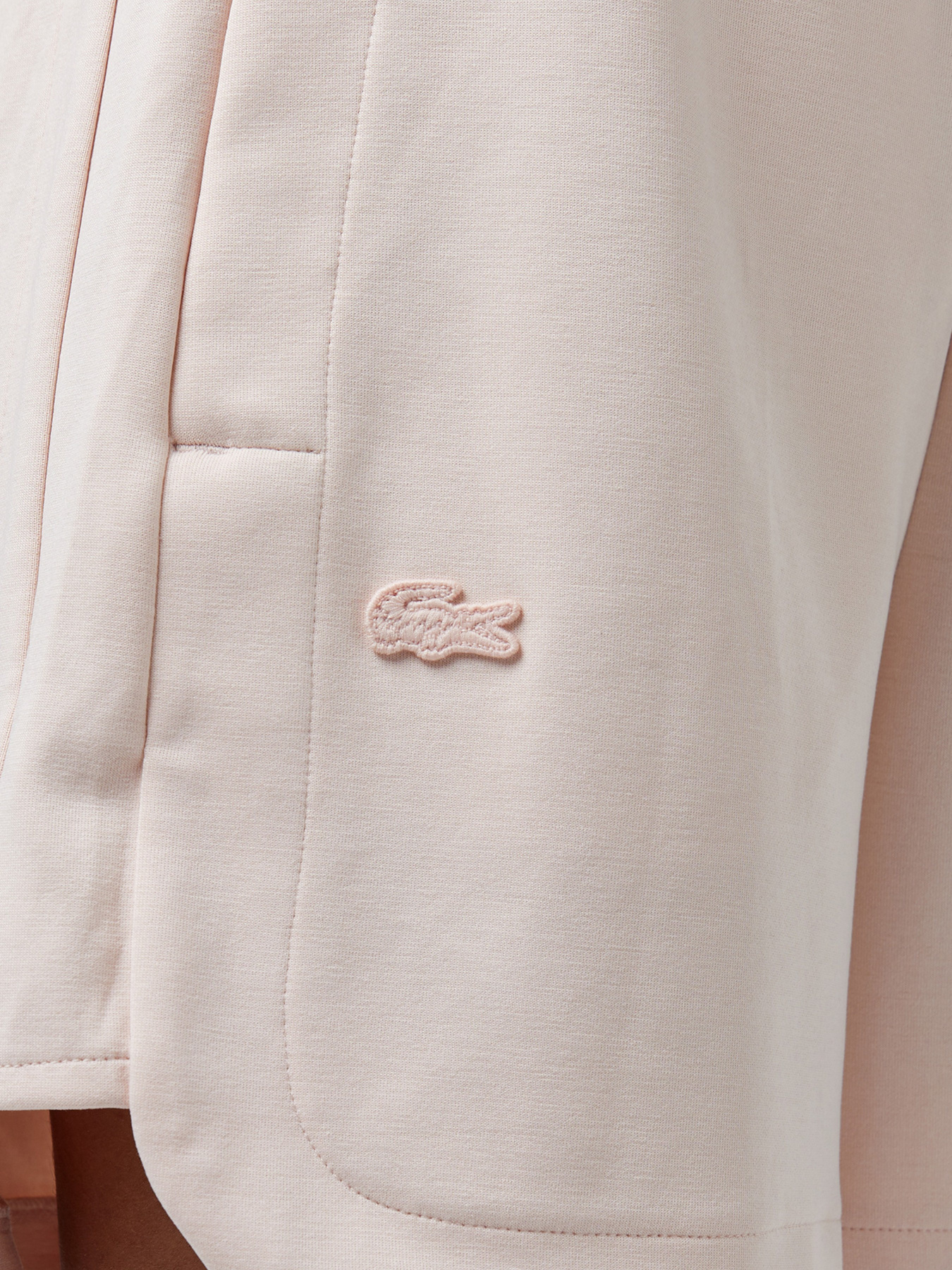 Повсякденні шорти Lacoste модель GF0515HCZ Фото