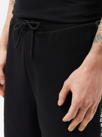 Повседневные шорты Lacoste модель GH0512031 Фото