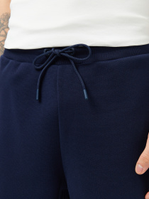 Шорти Lacoste модель GH0512166 Фото