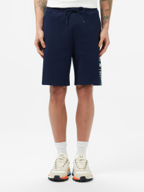 Шорты Lacoste модель GH0512166 Фото