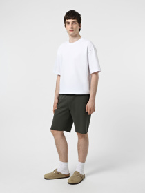 Повседневные шорты Promin модель 1090-28_434 Фото