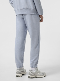 Повсякденні штани Promin модель 1940-06_541 Повсякденні штани Promin модель 1940-06_541 Фото