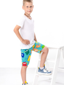 Повсякденні шорти Носи своє модель 6091-002-monstriki-bryuzovij-nefrit Фото