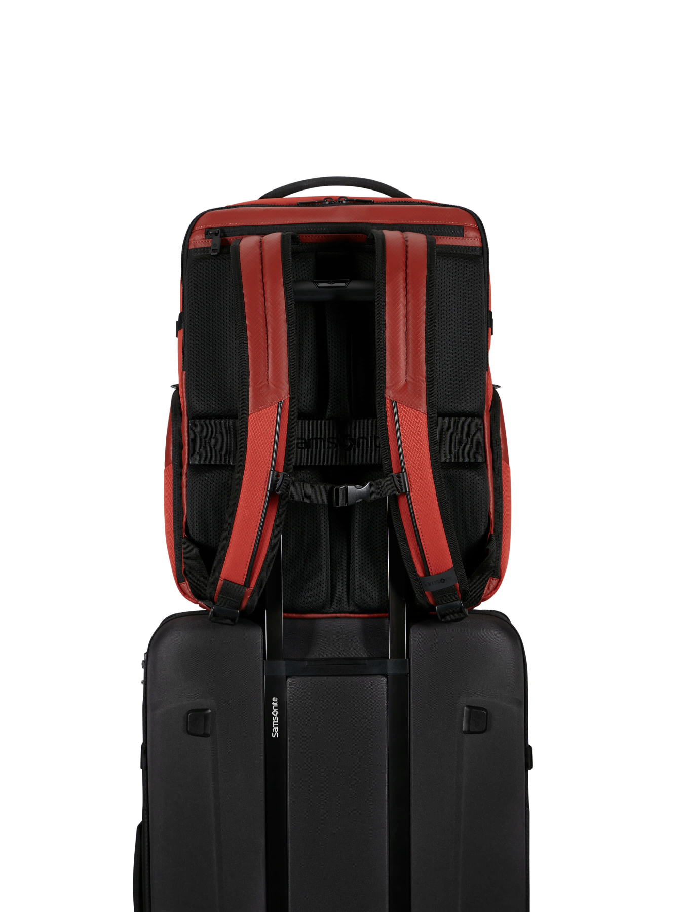 Рюкзак Samsonite модель KQ296003 Фото