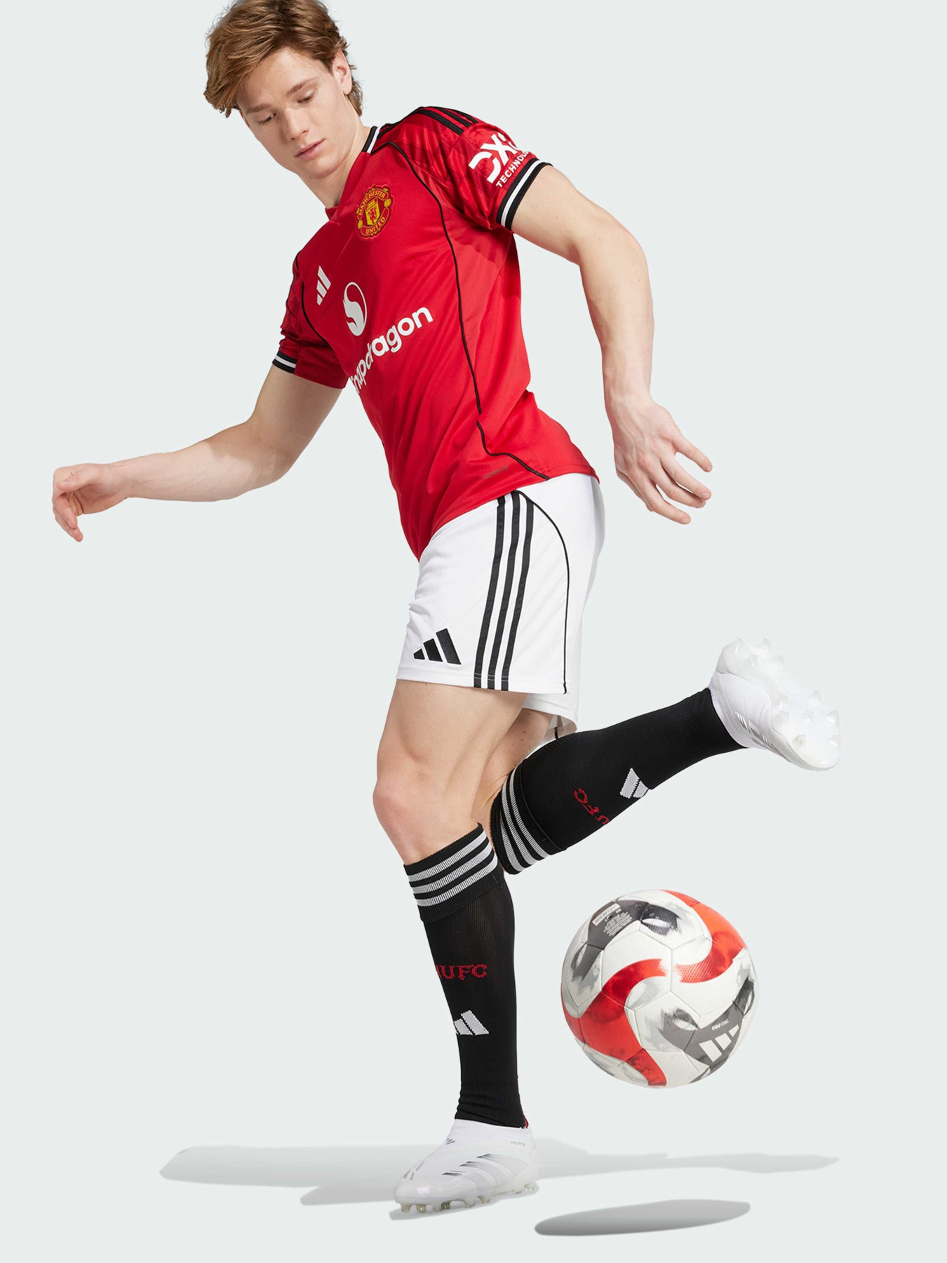 Шорти спортивні Adidas модель JI7430 Фото