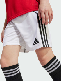 Шорти спортивні Adidas модель JP3017 Фото