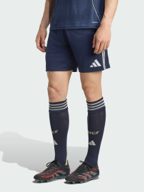 Шорты спортивные Adidas модель JJ1928 Фото