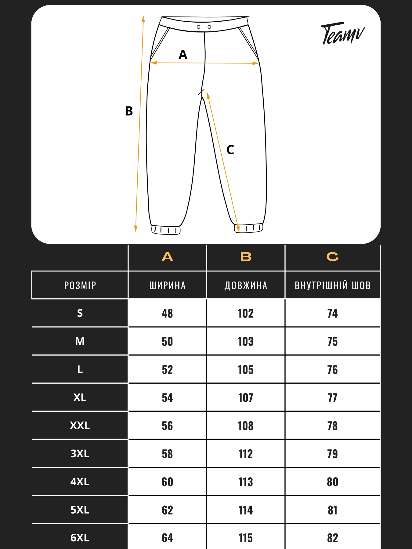 Штаны спортивные TeamV модель 101-2 Фото