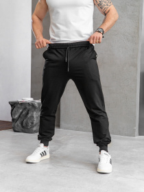 Штаны спортивные TeamV модель 101-2 Фото