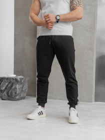 Спортивні штани TeamV модель 101-2 Спортивні штани TeamV модель 101-2 Фото