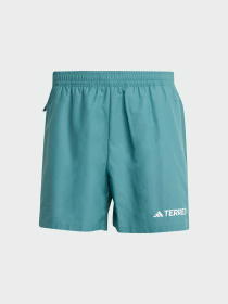 Спортивні шорти Adidas модель JL6192 Фото