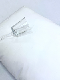 Комплект наволочек Аqua-stop 2 шт. водонепроницаемых водоотталкивающих на молнии Ecotton модель 23779 Фото