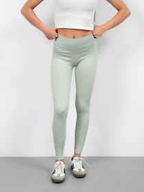 Леггинсы Famo модель BR-363_04 Фото