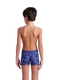 Плавки Arena модель 008479-700 Фото