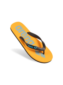 Вьетнамки Arena модель 002309-113 Фото