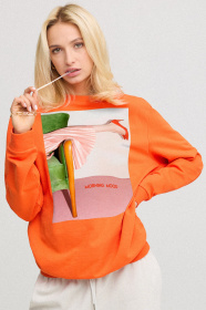 Свитшот YAPPI модель BSWPO30011 Свитшот YAPPI модель BSWPO30011 Фото