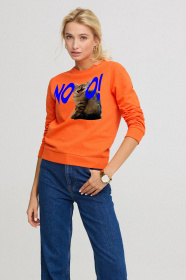 Свитшот YAPPI модель BSWPO10010 Свитшот YAPPI модель BSWPO10010 Фото