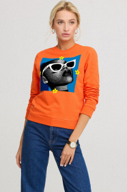 Свитшот YAPPI модель BSWPO10002 Фото