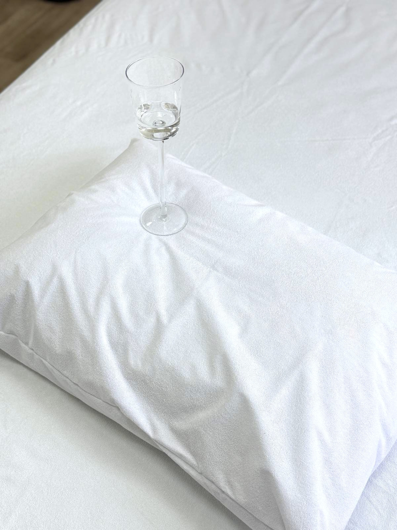 Комплект наволочок Аqua-stop 2 шт. водонепроникних махрових на блискавці Ecotton модель 24608 Комплект наволочок Аqua-stop 2 шт. водонепроникних махрових на блискавці Ecotton модель 24608 Фото