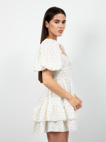 Платье мини Famo модель PLA-886_01 Фото