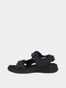 Сандалии Pegada модель 134504-04-чорн. Фото