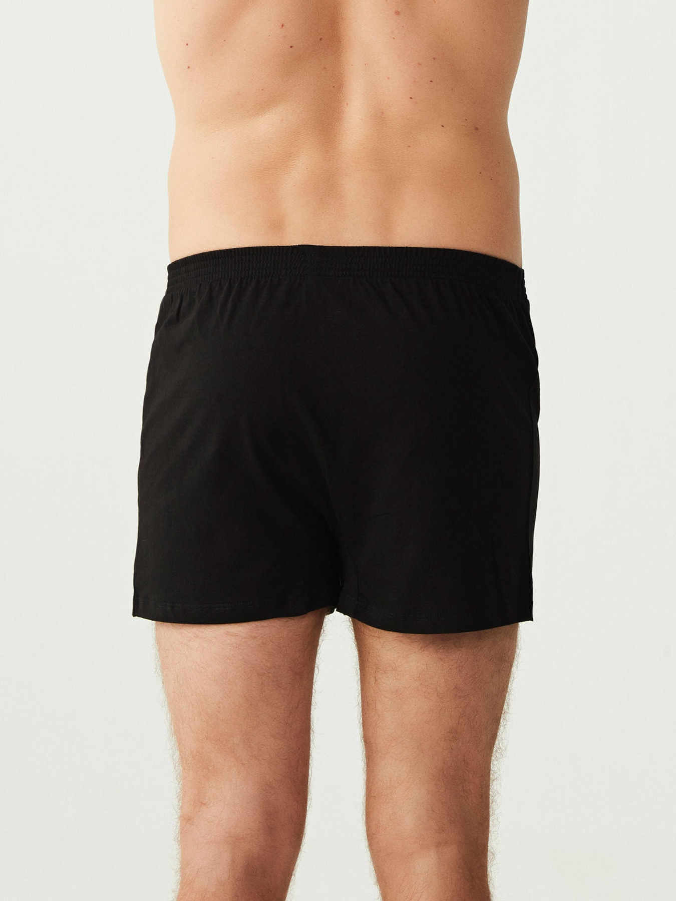 Трусы US Polo модель P80054BK Фото