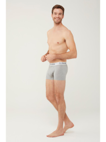 Трусы US Polo модель P80451GM Фото