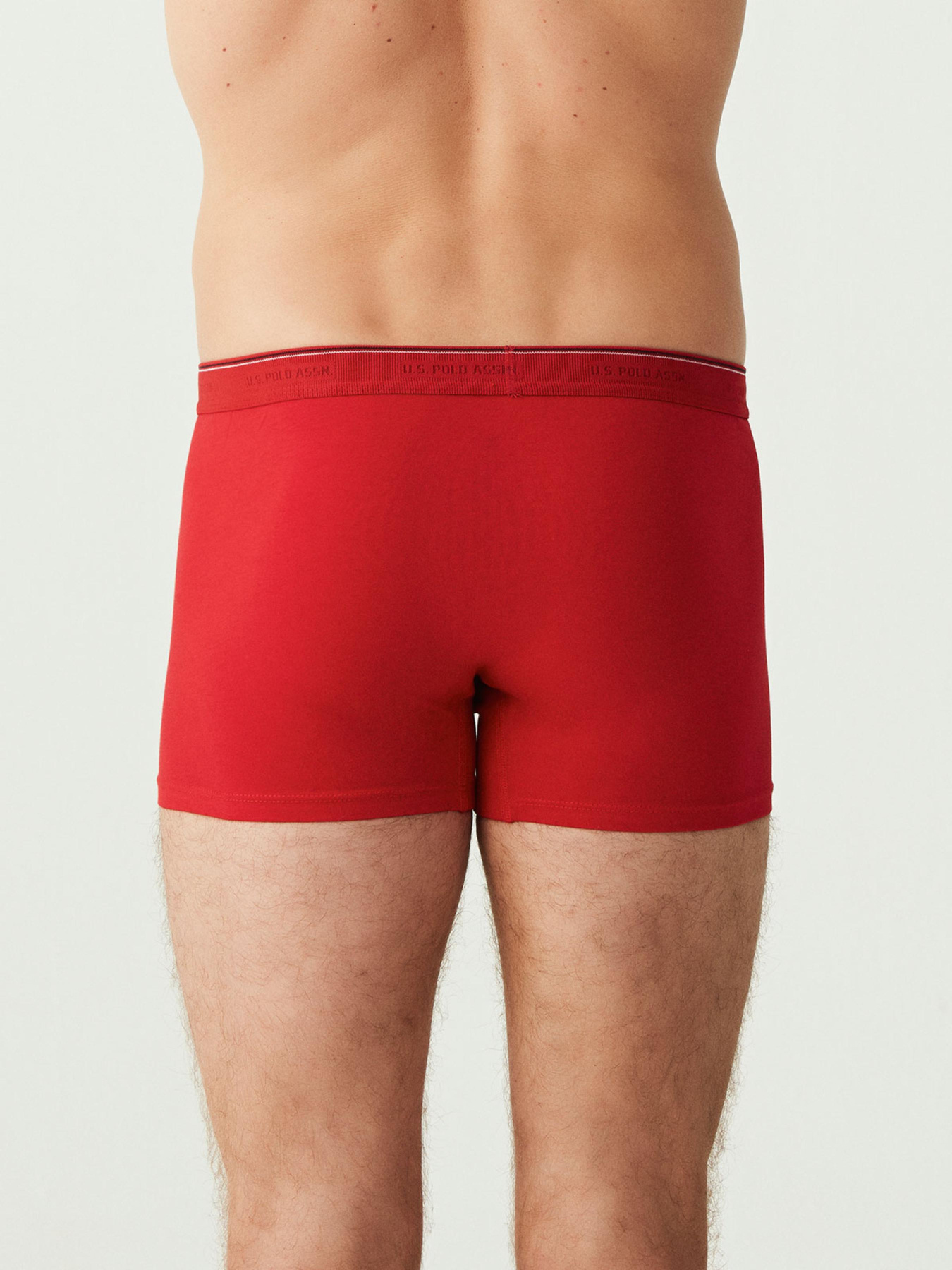 Набір трусів US Polo модель P80093SETAR Фото