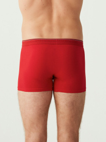 Набір трусів US Polo модель P80093SETAR Фото