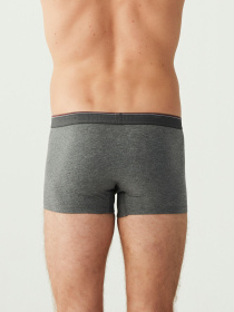 Набір трусів US Polo модель P80093SETAR Фото