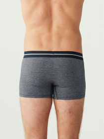 Набір трусів US Polo модель P80306SETNFN Фото