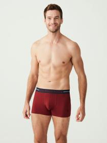 Набор трусов US Polo модель P80328SETBNGM Фото