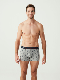 Набор трусов US Polo модель P80328SETBNGM Фото