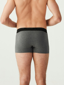 Набір трусів US Polo модель P80338SETABGM Фото