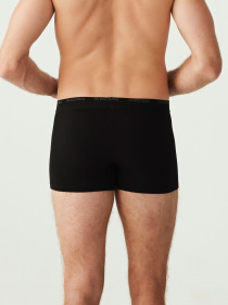 Набір трусів US Polo модель P80338SETABGM Фото