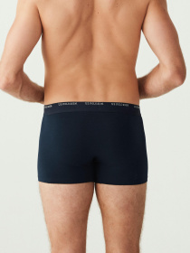 Набір трусів (3 шт.) модель P80338SETNNMP Фото