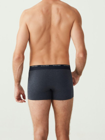 Набір трусів US Polo модель P80338SETNNMP Фото