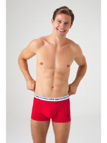 Набір трусів US Polo модель P80431SETNGMR Фото