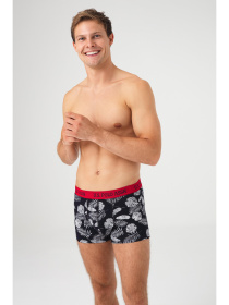 Набор трусов US Polo модель P80433SETNPN Фото