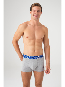 Набір трусів US Polo модель P80433SETSGS Фото