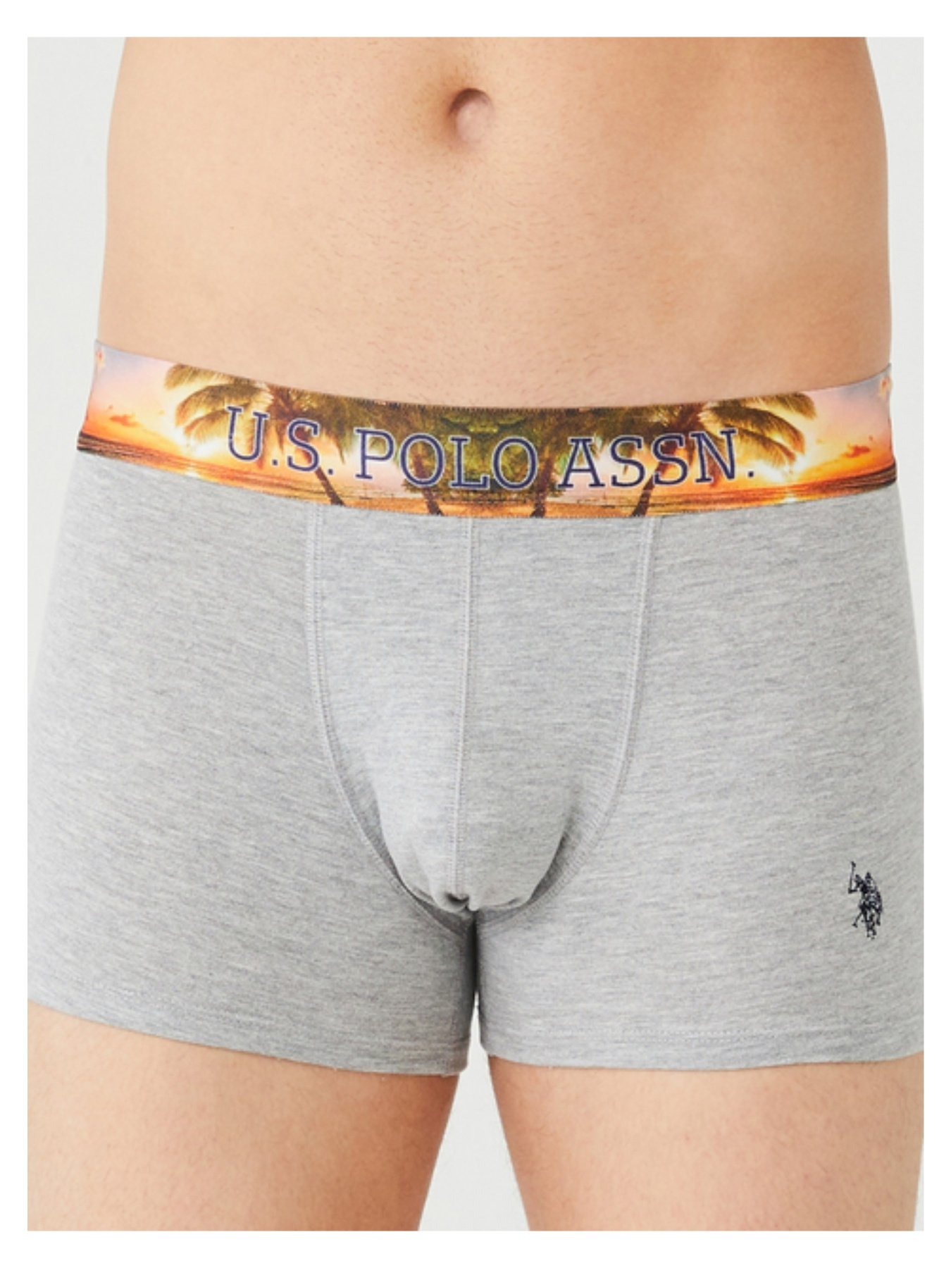 Набор трусов US Polo модель P80434SETNMG Фото