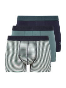 Набор трусов US Polo модель P80504SETPNG Фото