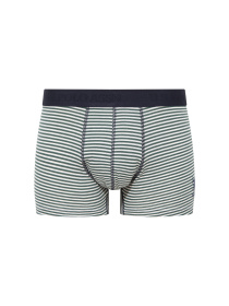 Набор трусов US Polo модель P80504SETPNG Фото